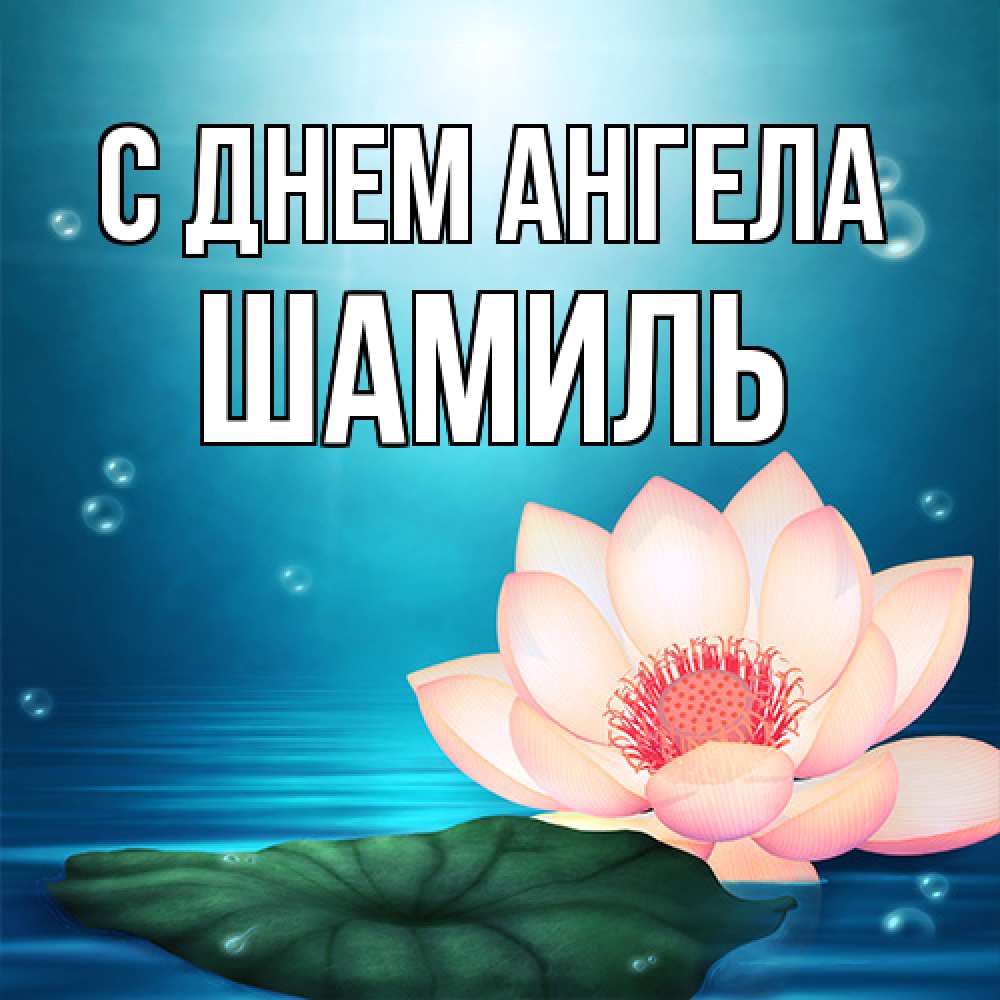 Открытка на каждый день с именем, Шамиль С днем ангела кувшинка Прикольная открытка с пожеланием онлайн скачать бесплатно 