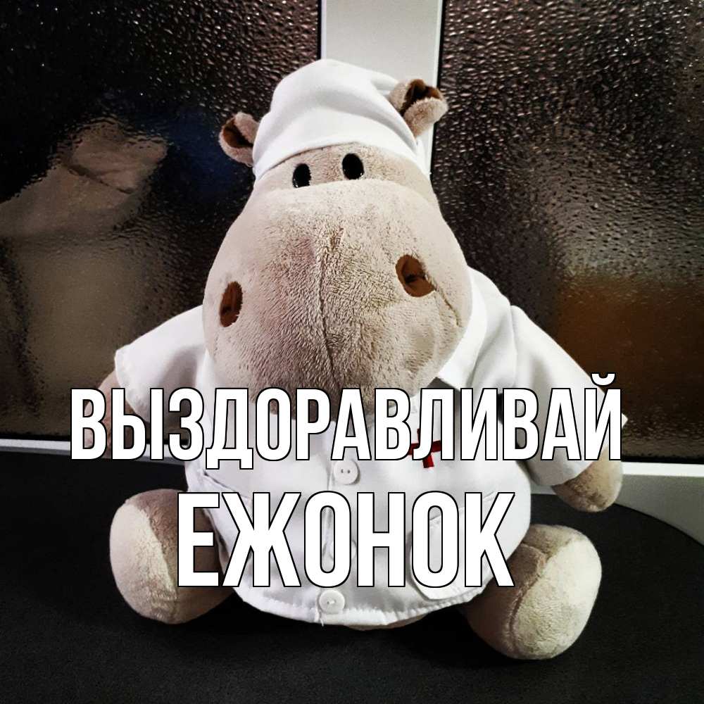 Открытка на каждый день с именем, Ежонок Выздоравливай всех излечит исцелит Прикольная открытка с пожеланием онлайн скачать бесплатно 