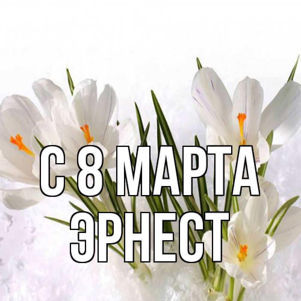 Открытка на каждый день с именем, Эрнест C 8 МАРТА под снегом Прикольная открытка с пожеланием онлайн скачать бесплатно 