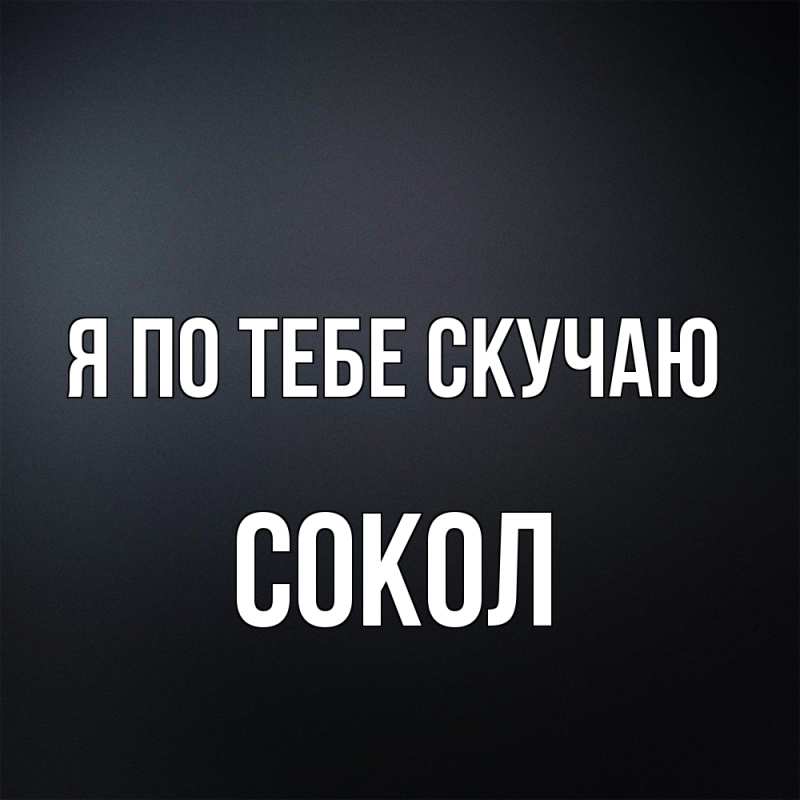 Картинка Я по тебе скучаю, Сокол