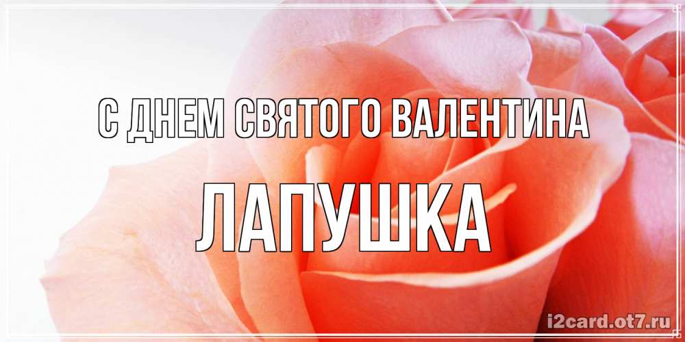 Открытка на каждый день с именем, лапушка С днем Святого Валентина открытка на день Святого Валентина с розовой розой Прикольная открытка с пожеланием онлайн скачать бесплатно 
