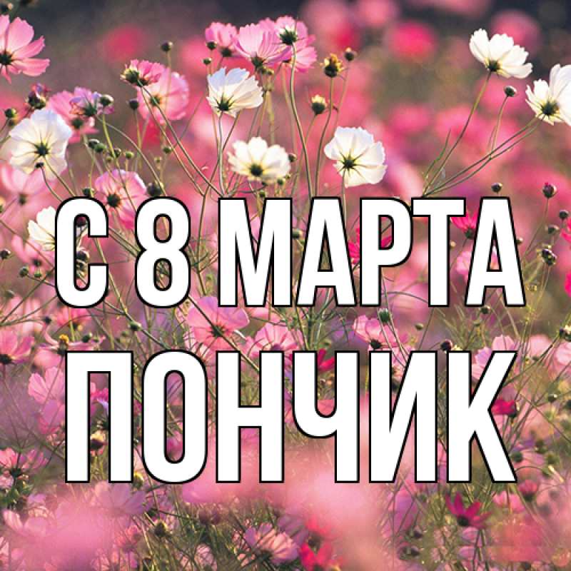 Открытка с именем, Пончик, C 8 МАРТА