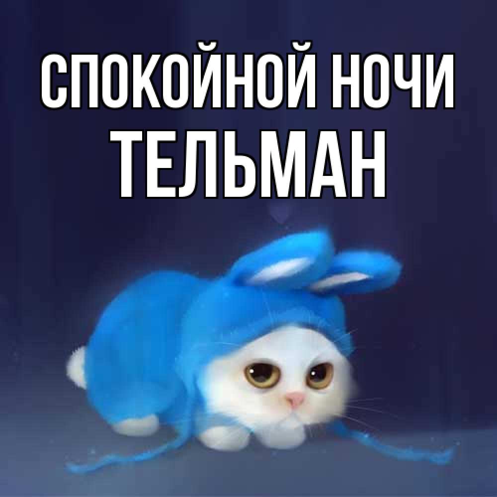 Открытка на каждый день с именем, Тельман Спокойной ночи кот в голубом костюме кролика с ушками Прикольная открытка с пожеланием онлайн скачать бесплатно 