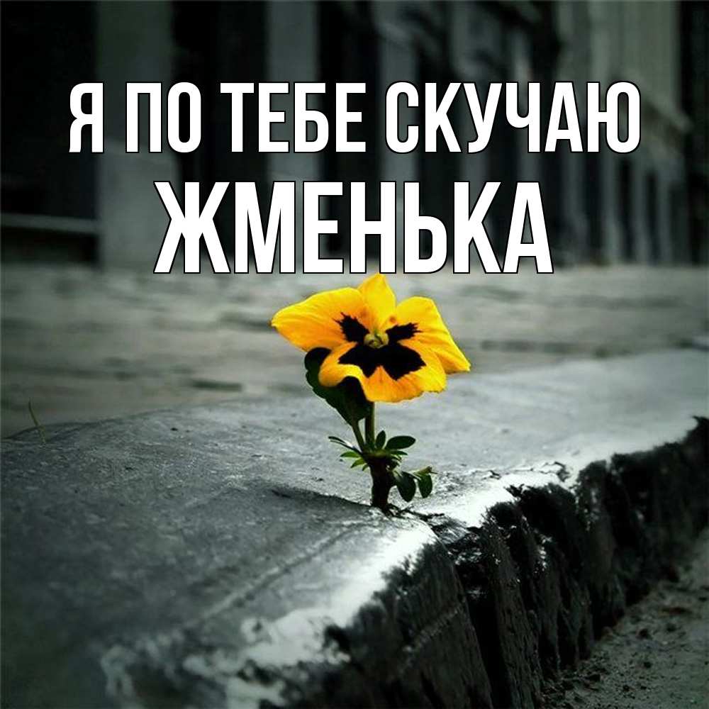 Открытка на каждый день с именем, Жменька Я по тебе скучаю надеюсь будет лучше Прикольная открытка с пожеланием онлайн скачать бесплатно 