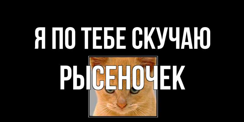 Картинка Я по тебе скучаю, Рысеночек
