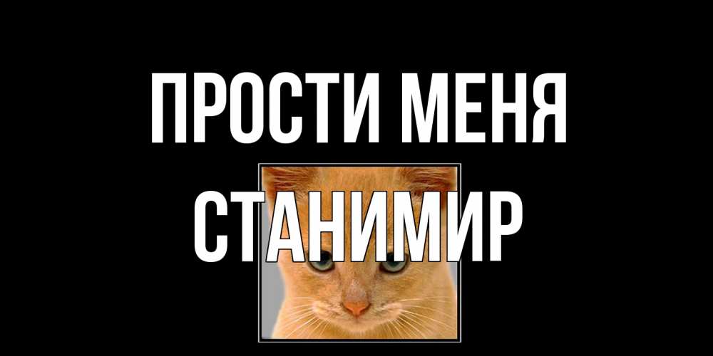 Открытка на каждый день с именем, Станимир Прости меня рыжий грустный кот просит прощения Прикольная открытка с пожеланием онлайн скачать бесплатно 