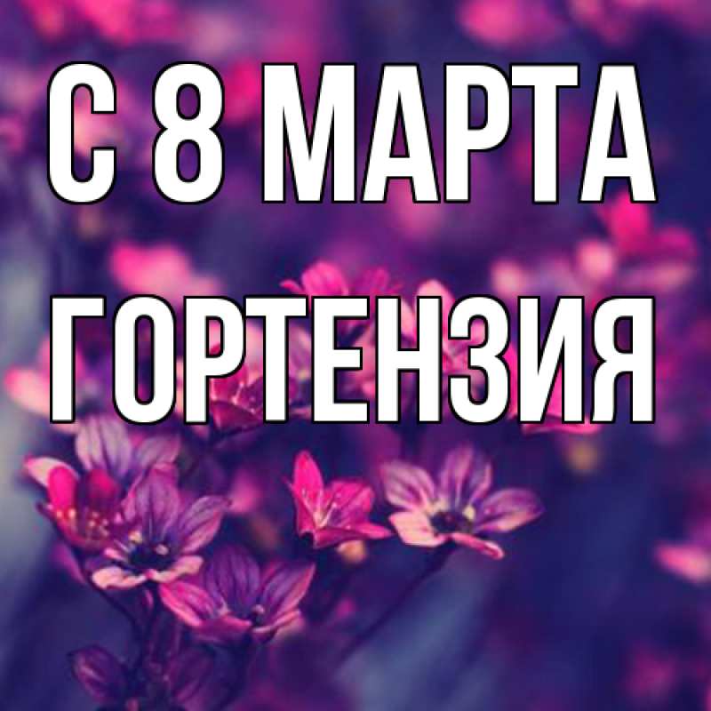 Картинка C 8 МАРТА, Гортензия