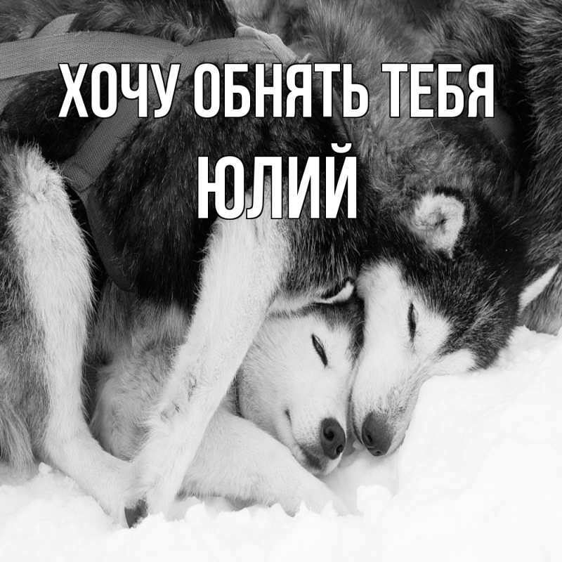 Картинка Хочу обнять тебя, Юлий