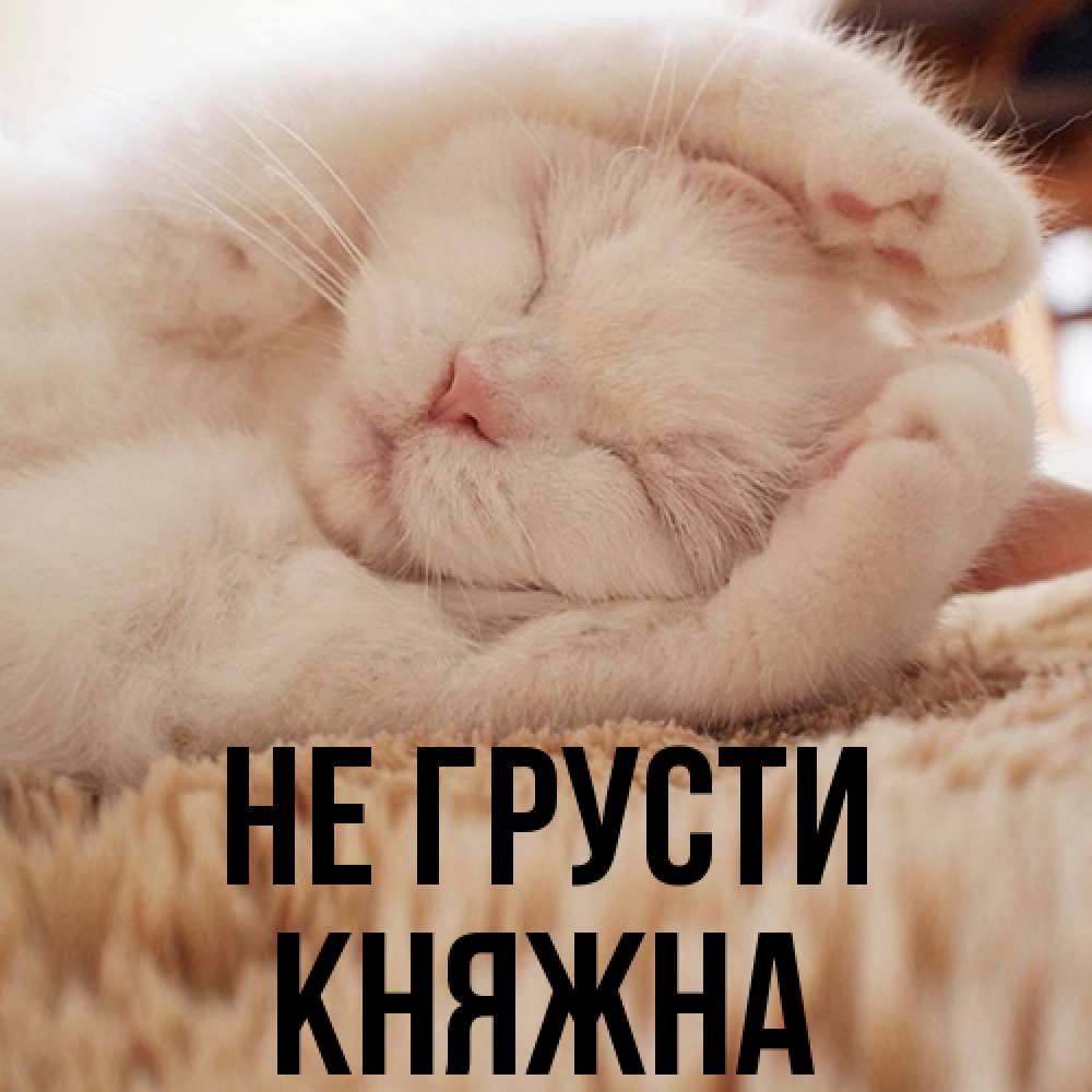 Открытка на каждый день с именем, Княжна Не грусти Котенок спит Прикольная открытка с пожеланием онлайн скачать бесплатно 