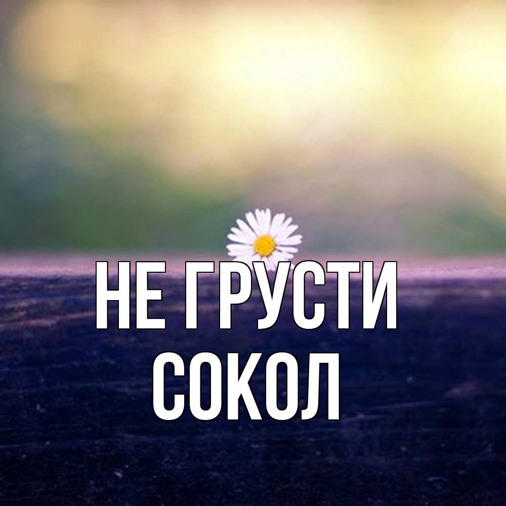 Открытка на каждый день с именем, Сокол Не грусти красота Прикольная открытка с пожеланием онлайн скачать бесплатно 