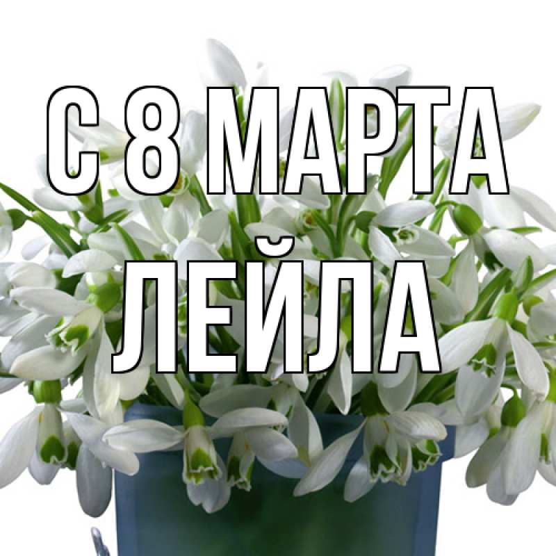 Картинка C 8 МАРТА, Лейла