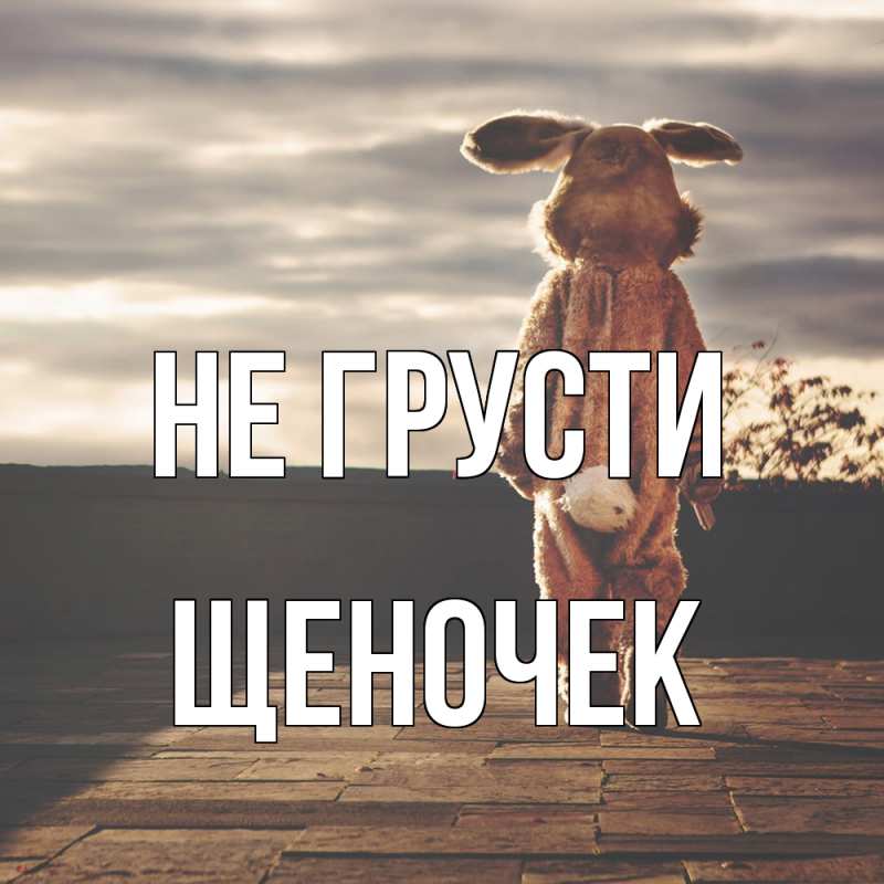 Картинка Не грусти, Щеночек