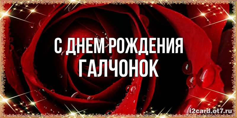 Картинка С днем рождения, галчонок