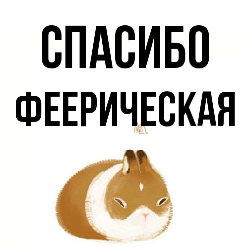 Открытка на каждый день с именем, Фееpическая Спасибо коричнево белый домашний питомец Прикольная открытка с пожеланием онлайн скачать бесплатно 
