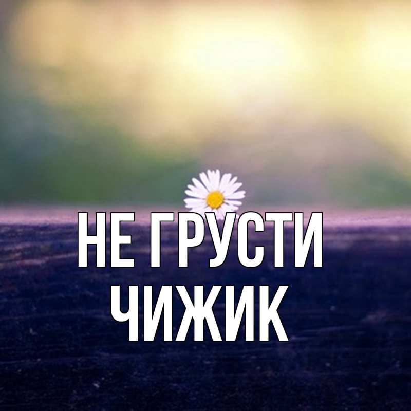 Картинка Не грусти, Чижик