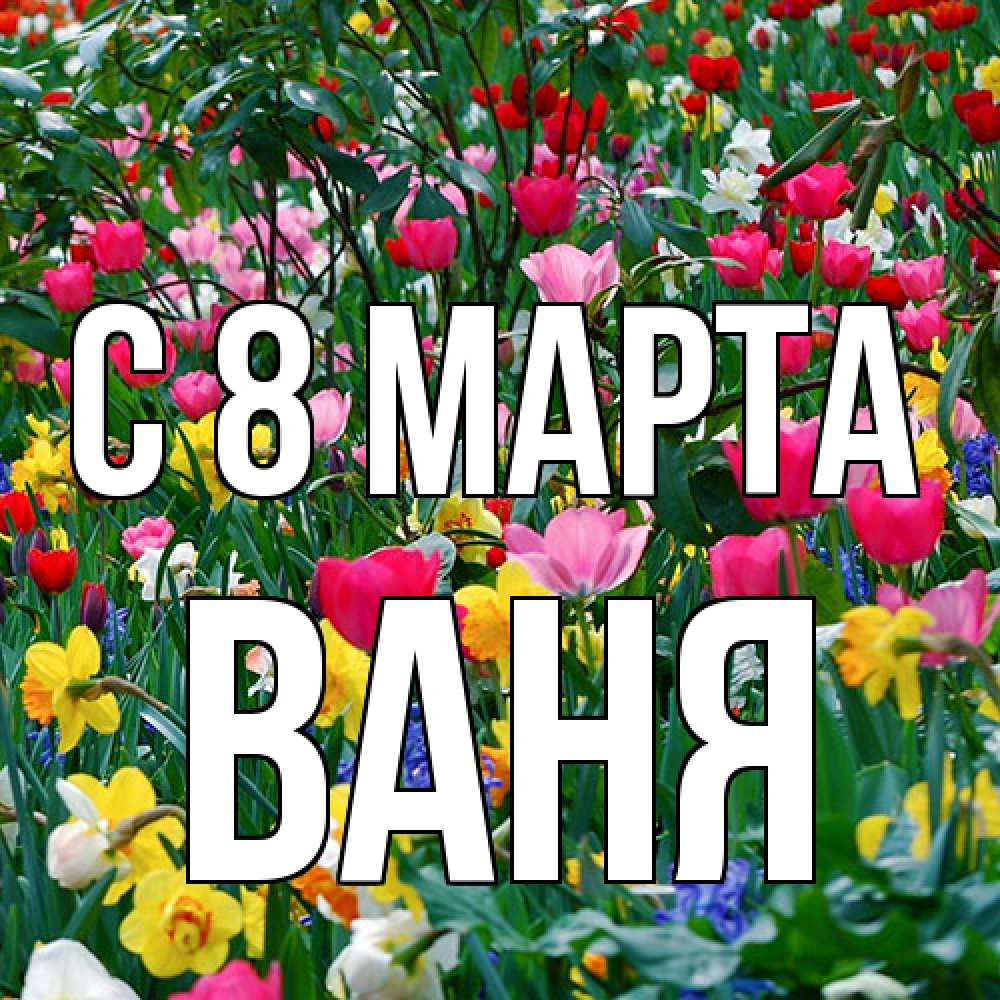 Открытка на каждый день с именем, Ваня C 8 МАРТА с международным женским днем поздравления для женщины Прикольная открытка с пожеланием онлайн скачать бесплатно 