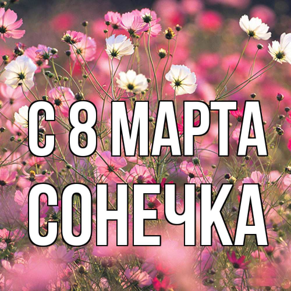 Открытка на каждый день с именем, Сонечка C 8 МАРТА красиво 1 Прикольная открытка с пожеланием онлайн скачать бесплатно 