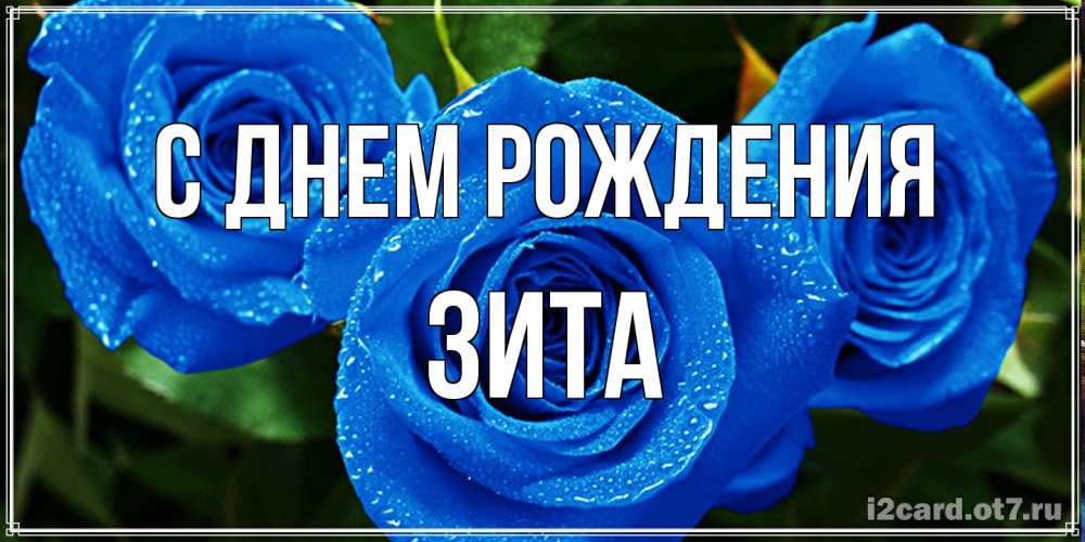 Открытка на каждый день с именем, Зита С днем рождения розы с синим цветом Прикольная открытка с пожеланием онлайн скачать бесплатно 