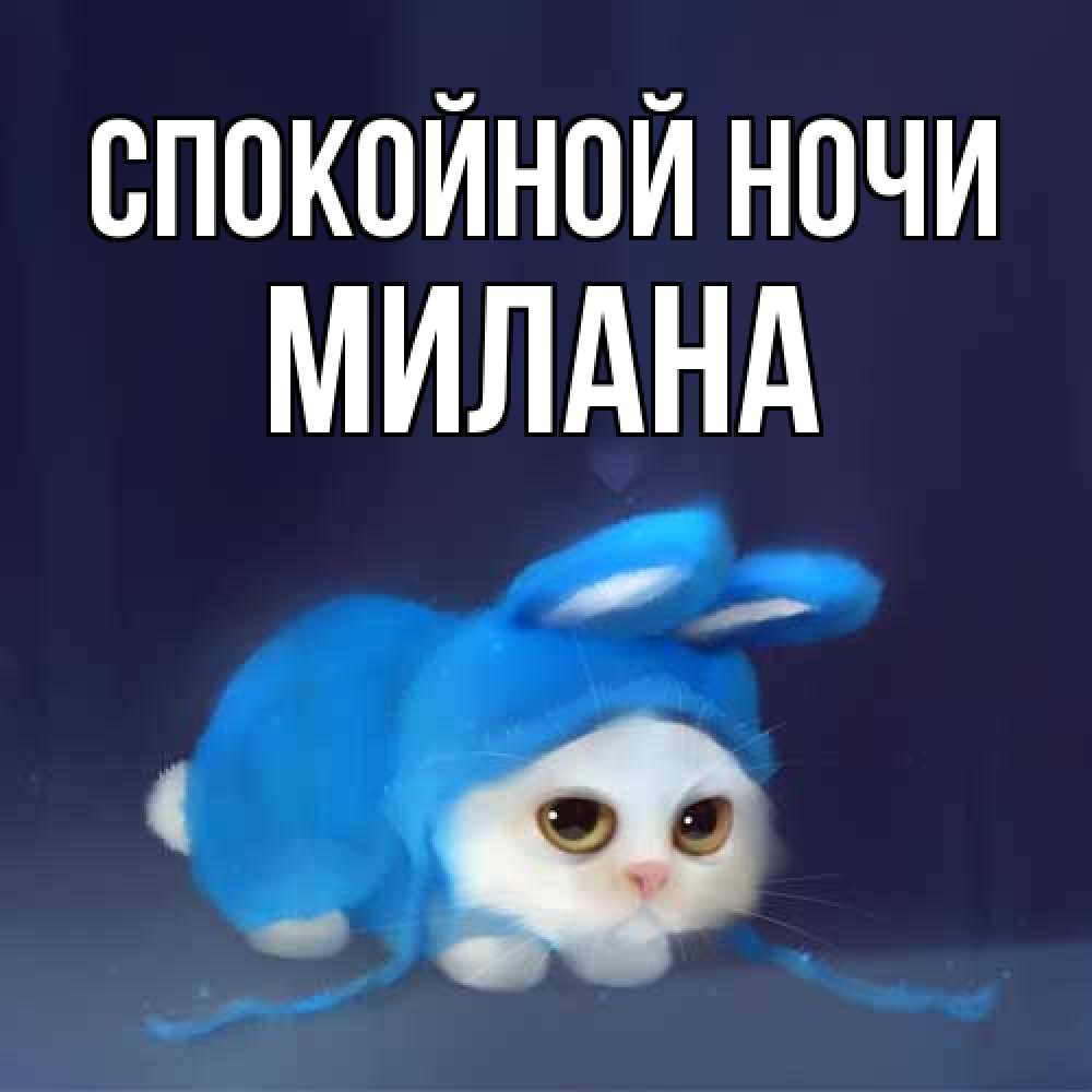 Открытка на каждый день с именем, Милана Спокойной ночи кот в голубом костюме кролика с ушками Прикольная открытка с пожеланием онлайн скачать бесплатно 
