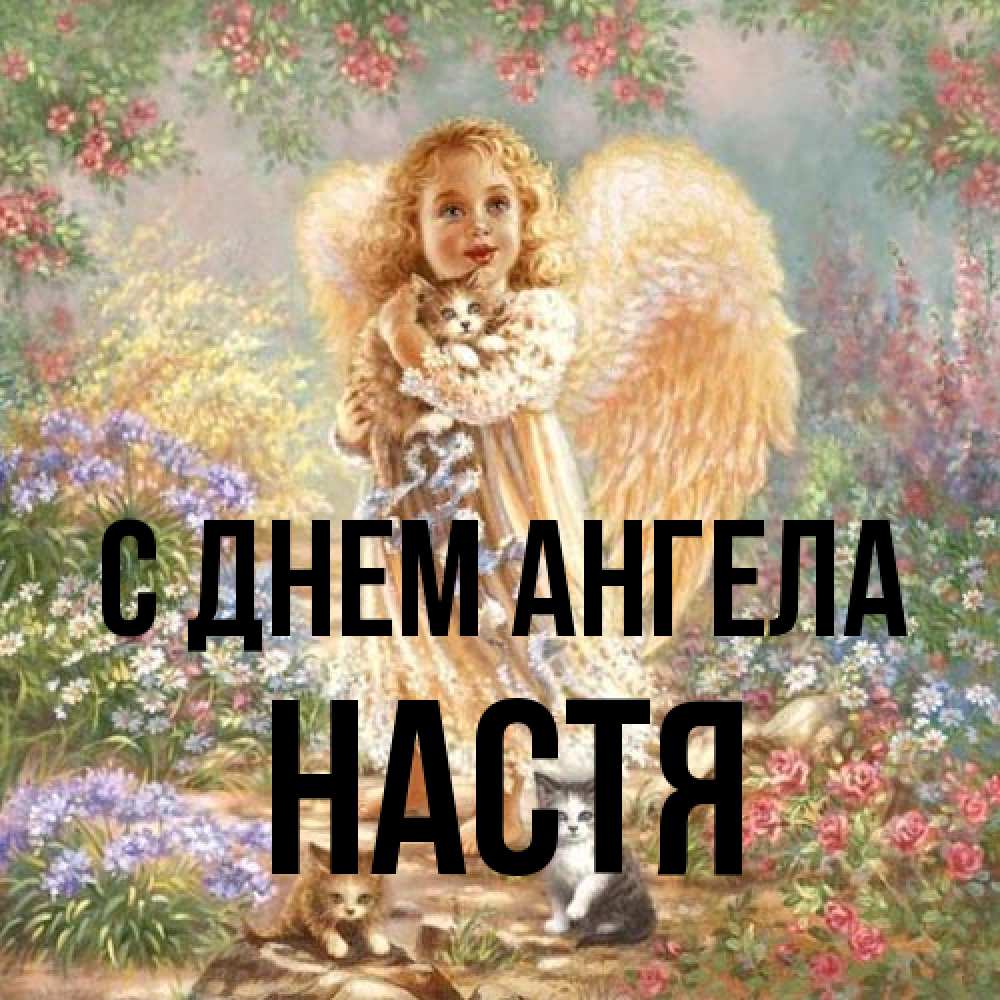 Открытка на каждый день с именем, Настя С днем ангела держит котенка Прикольная открытка с пожеланием онлайн скачать бесплатно 