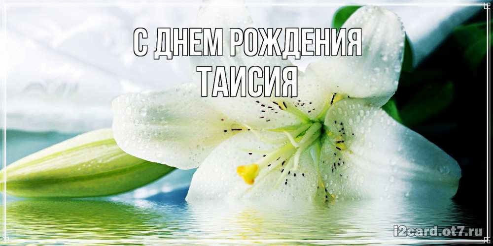 Открытка на каждый день с именем, Таисия С днем рождения лилия на открытке ко дню рождения Прикольная открытка с пожеланием онлайн скачать бесплатно 