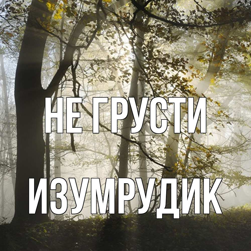 Открытка на каждый день с именем, изумрудик Не грусти лес и свет Прикольная открытка с пожеланием онлайн скачать бесплатно 