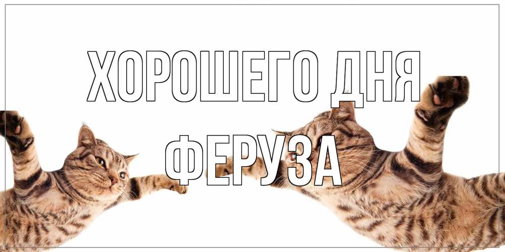Открытка на каждый день с именем, Феруза Хорошего дня хорошего дня Прикольная открытка с пожеланием онлайн скачать бесплатно 