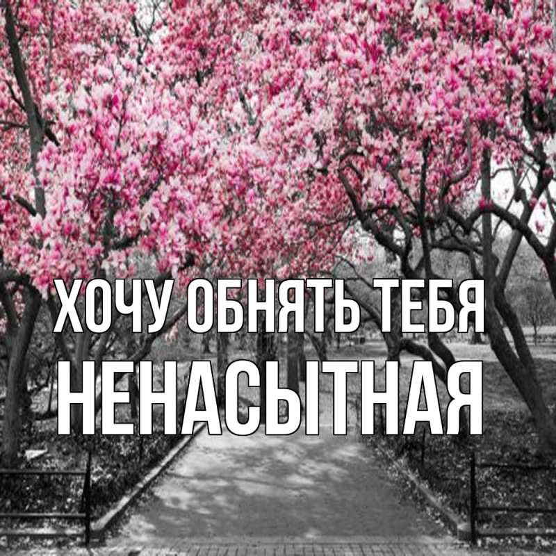 Картинка Хочу обнять тебя, Ненасытная