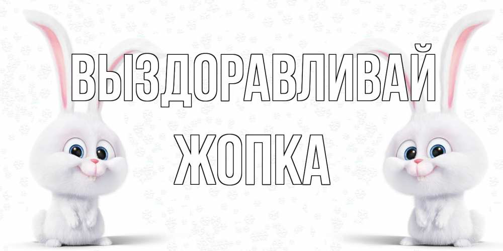 Открытка на каждый день с именем, Жопка Выздоравливай не болей с зайцем Прикольная открытка с пожеланием онлайн скачать бесплатно 
