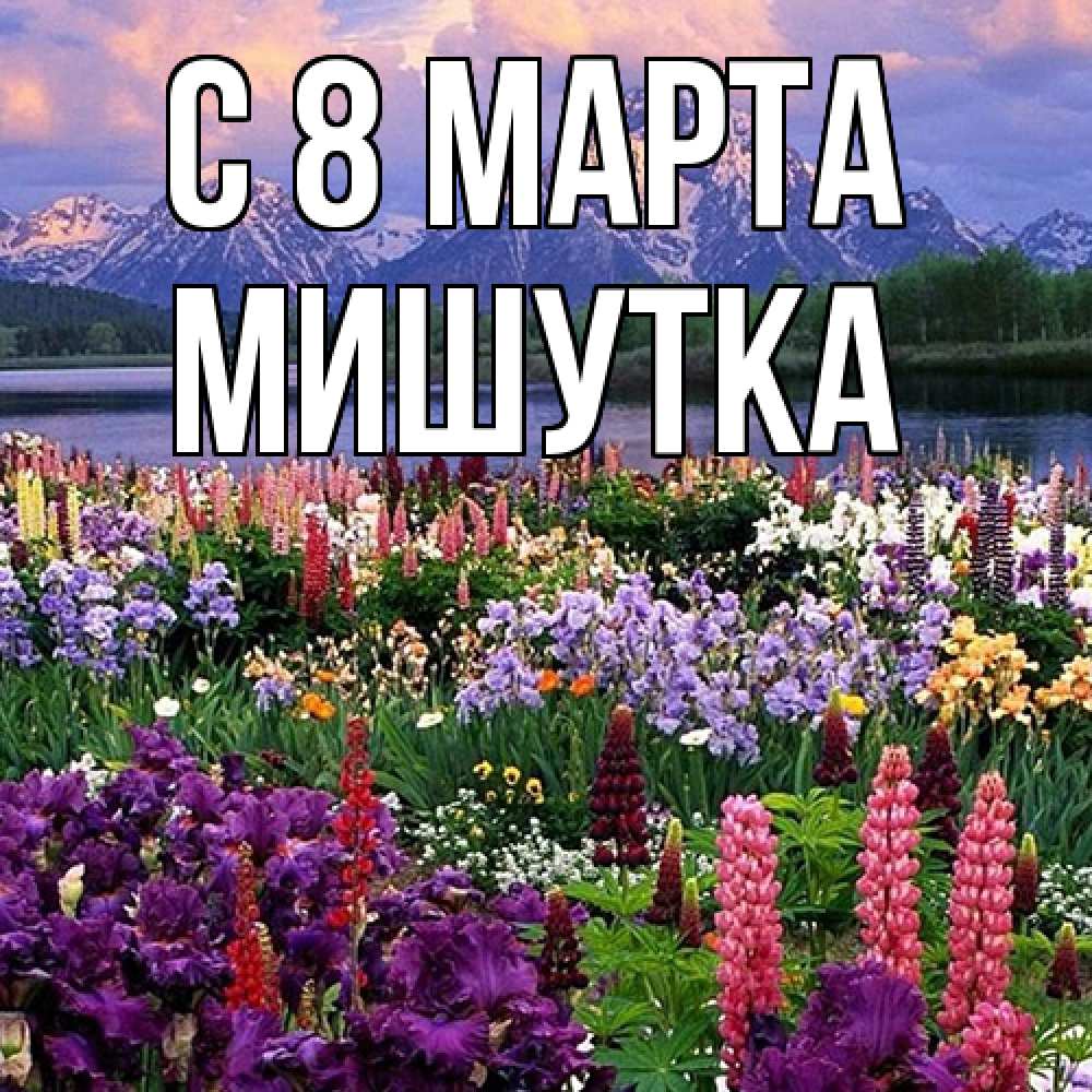 Открытка на каждый день с именем, Мишутка C 8 МАРТА международный женский день Прикольная открытка с пожеланием онлайн скачать бесплатно 