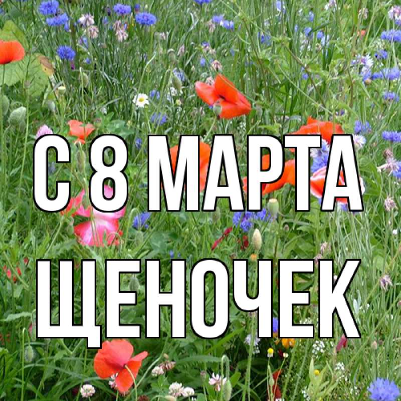 Картинка C 8 МАРТА, Щеночек