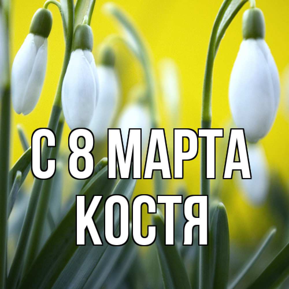 Открытка на каждый день с именем, Костя C 8 МАРТА весенние цветы Прикольная открытка с пожеланием онлайн скачать бесплатно 