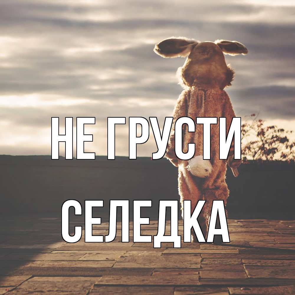 Открытка на каждый день с именем, Селедка Не грусти со спины Прикольная открытка с пожеланием онлайн скачать бесплатно 