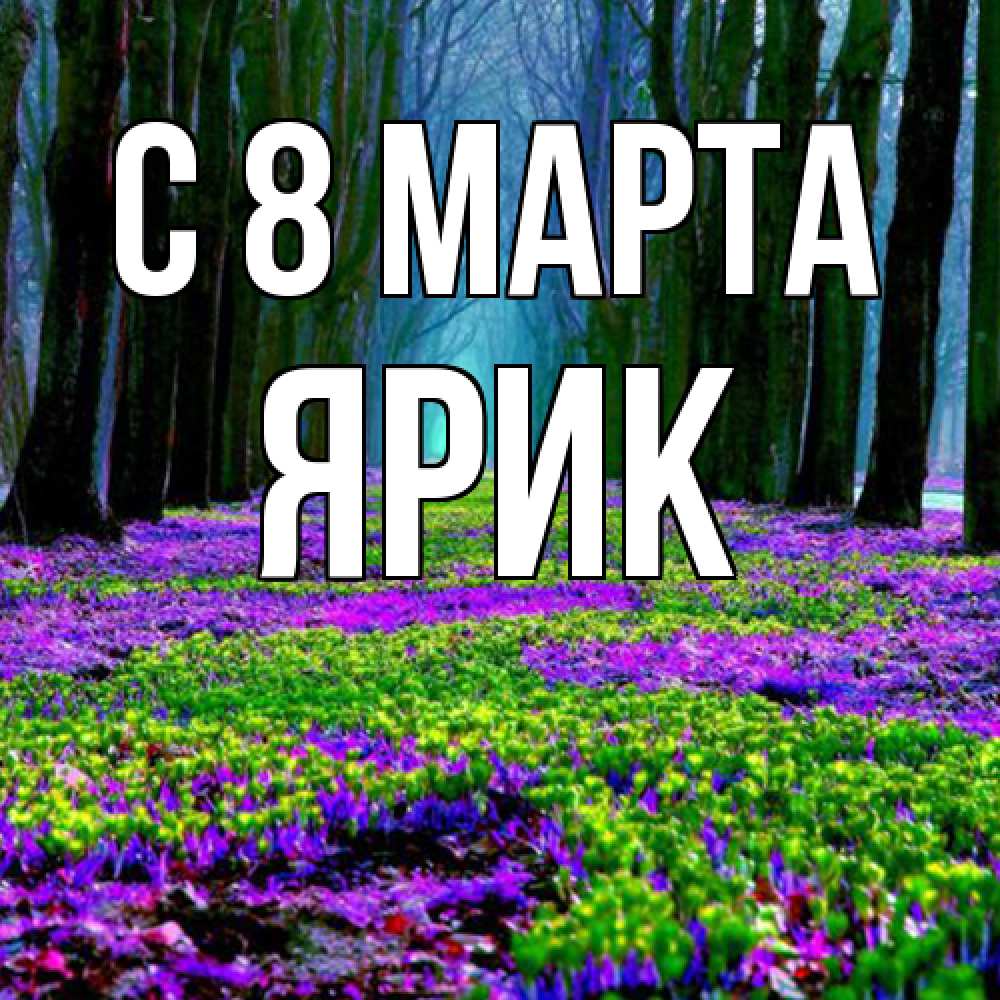 Открытка на каждый день с именем, Ярик C 8 МАРТА фиолетовые цветы в лесу 1 Прикольная открытка с пожеланием онлайн скачать бесплатно 