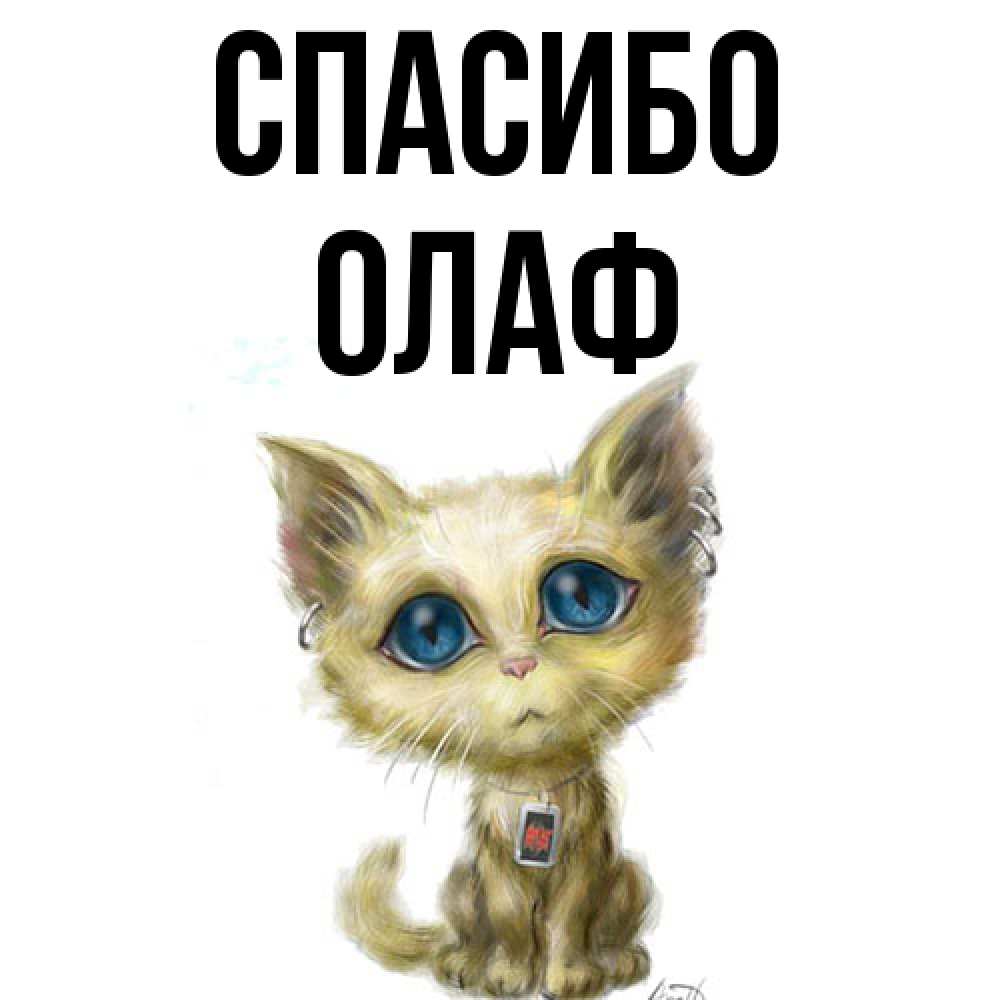 Открытка на каждый день с именем, Олаф Спасибо рисованный кот благодарит вас Прикольная открытка с пожеланием онлайн скачать бесплатно 