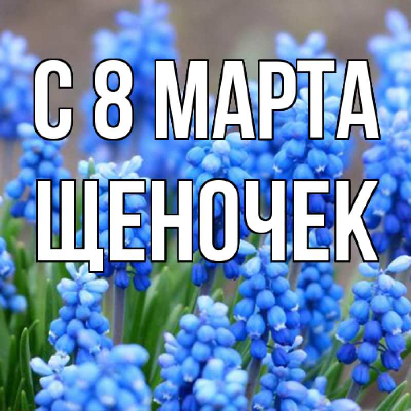 Картинка C 8 МАРТА, Щеночек