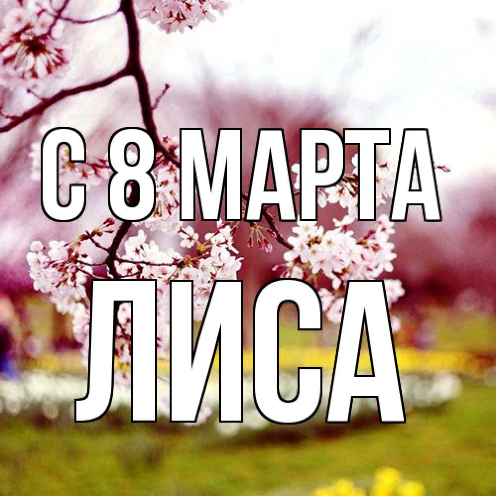 Открытка на каждый день с именем, лиса C 8 МАРТА яблоня Прикольная открытка с пожеланием онлайн скачать бесплатно 