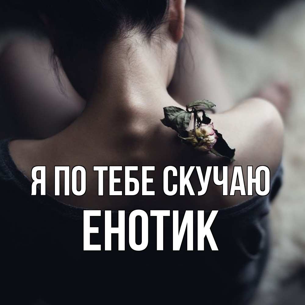 Открытка на каждый день с именем, Енотик Я по тебе скучаю засох цветок Прикольная открытка с пожеланием онлайн скачать бесплатно 