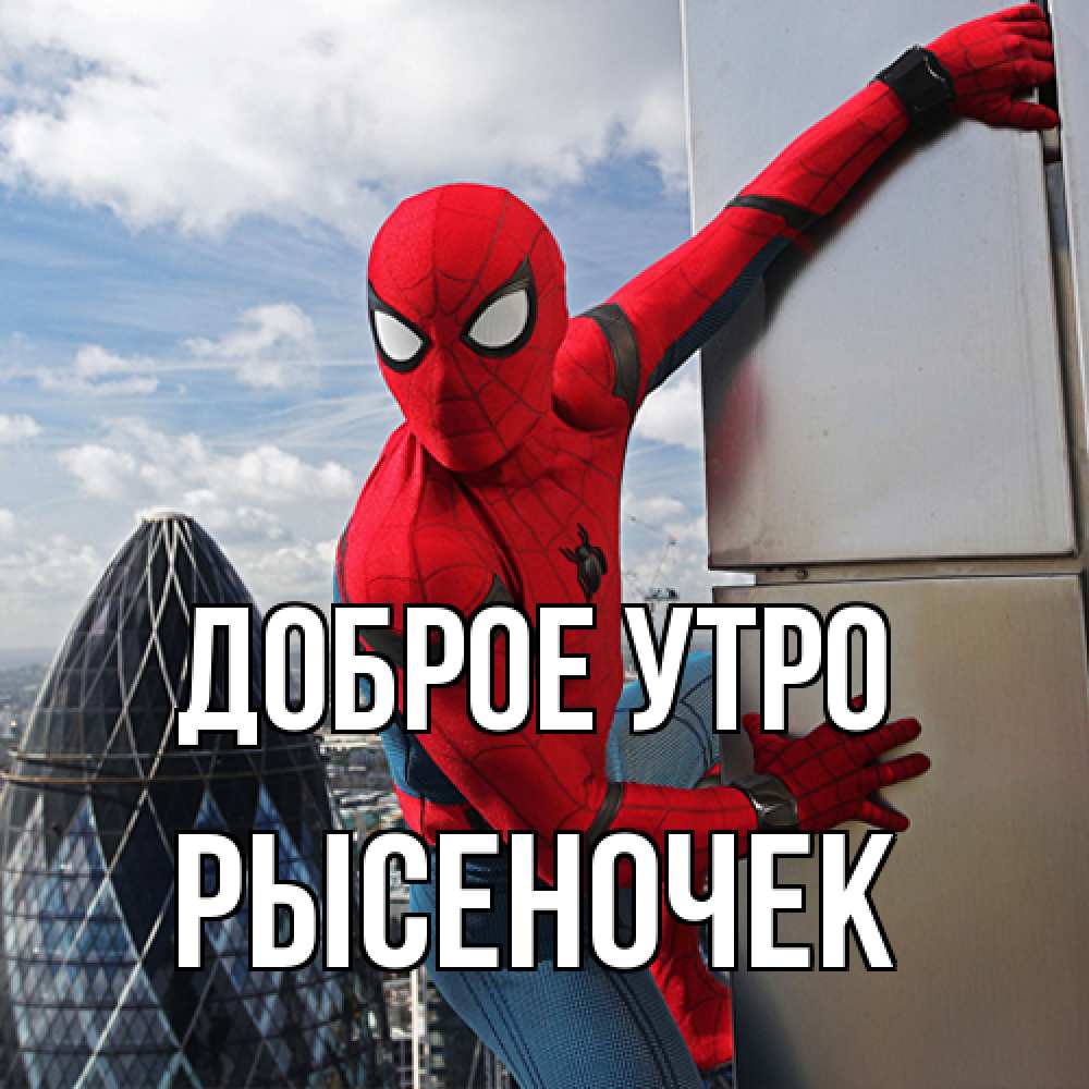 Открытка на каждый день с именем, Рысеночек Доброе утро марвел герои Прикольная открытка с пожеланием онлайн скачать бесплатно 