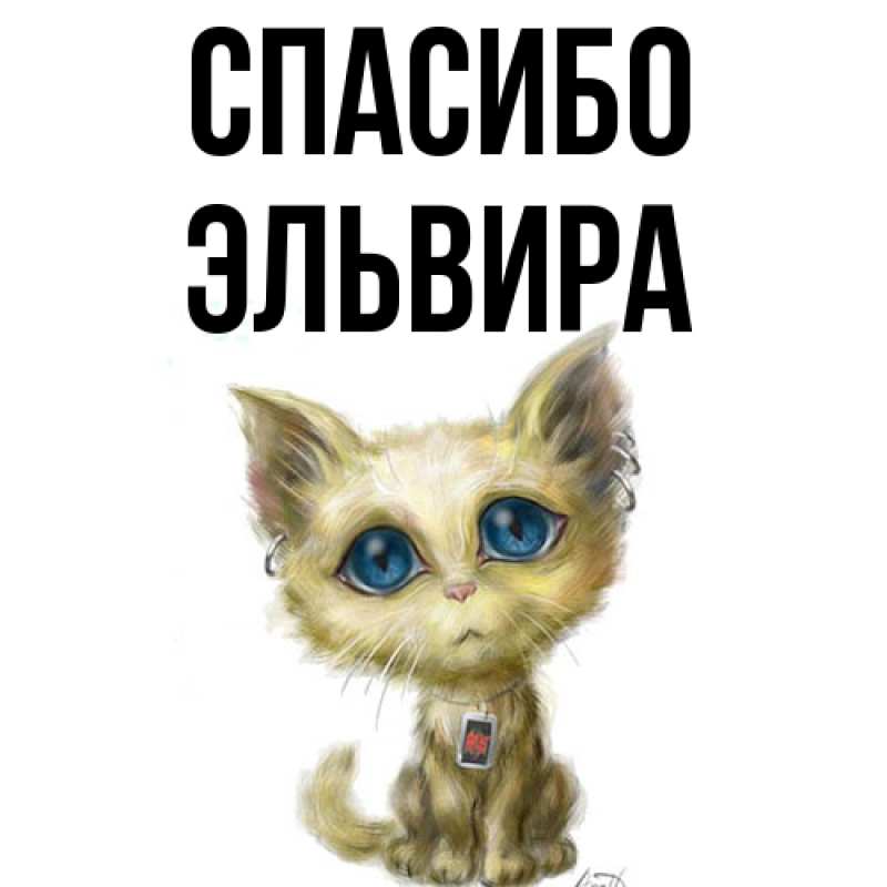 Картинка Спасибо, Эльвира
