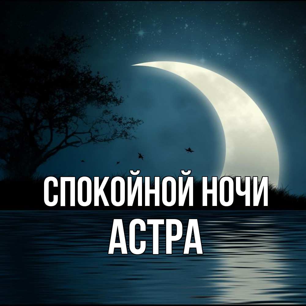 Открытка на каждый день с именем, Астра Спокойной ночи вода Прикольная открытка с пожеланием онлайн скачать бесплатно 