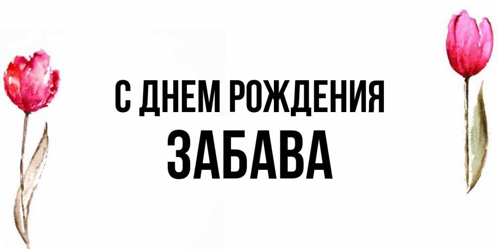 Открытка на каждый день с именем, Забава С днем рождения открытки акварелью с цветами Прикольная открытка с пожеланием онлайн скачать бесплатно 