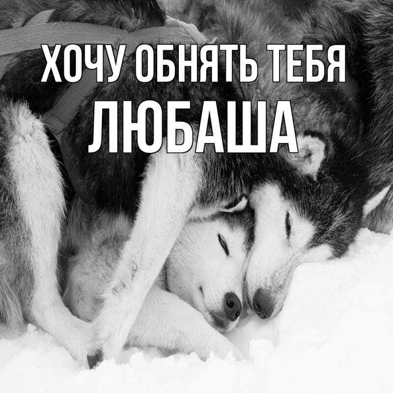 Картинка Хочу обнять тебя, Любаша