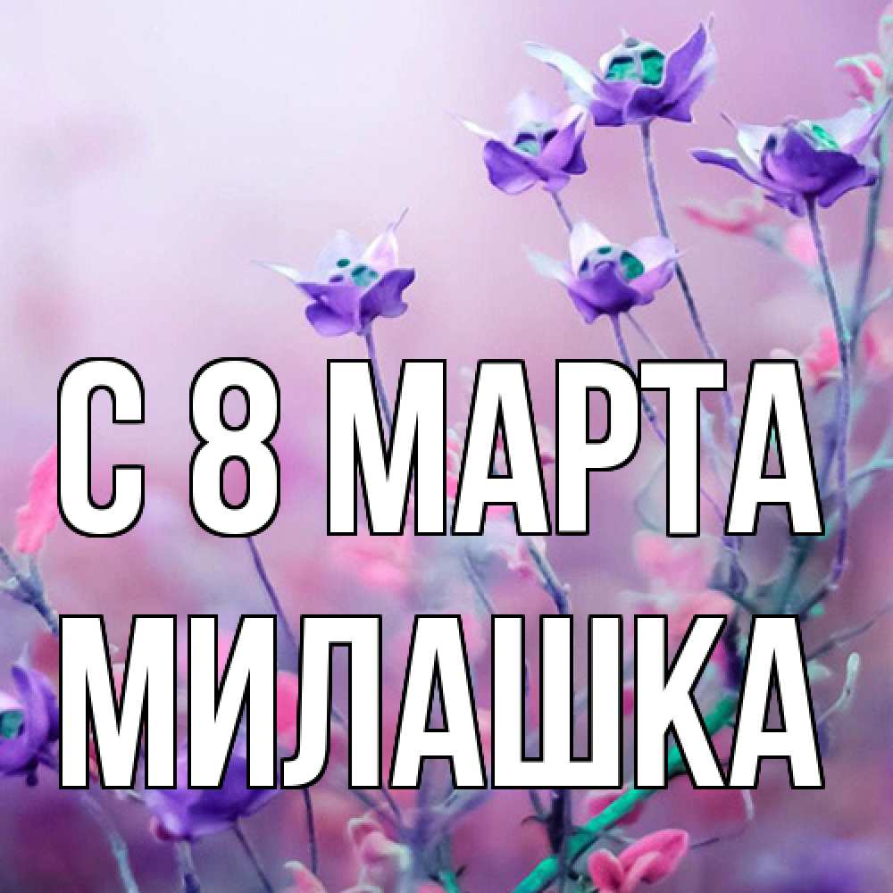 Открытка на каждый день с именем, Милашка C 8 МАРТА международный женский день 2 Прикольная открытка с пожеланием онлайн скачать бесплатно 