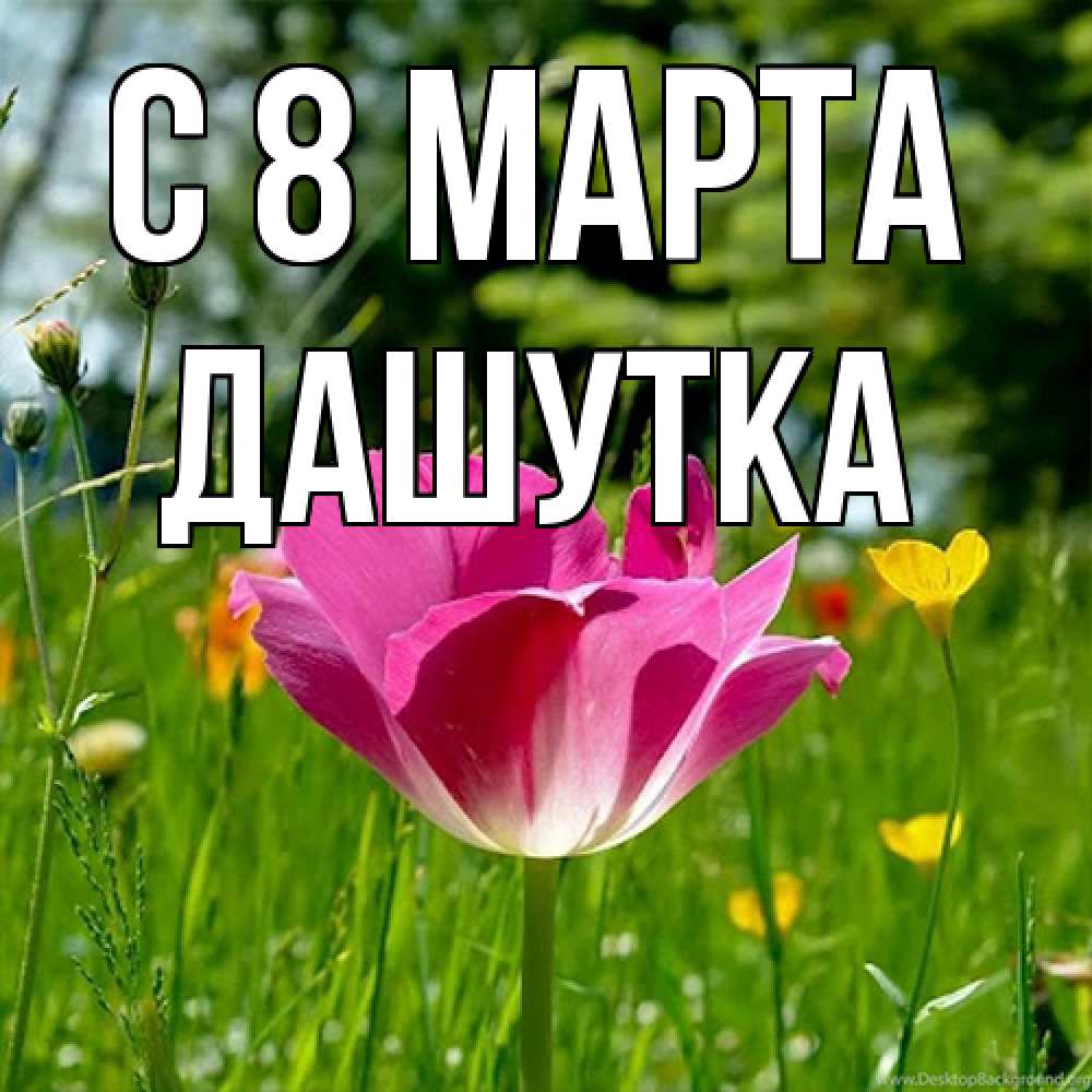 Открытка на каждый день с именем, Дашутка C 8 МАРТА полевые цветы Прикольная открытка с пожеланием онлайн скачать бесплатно 