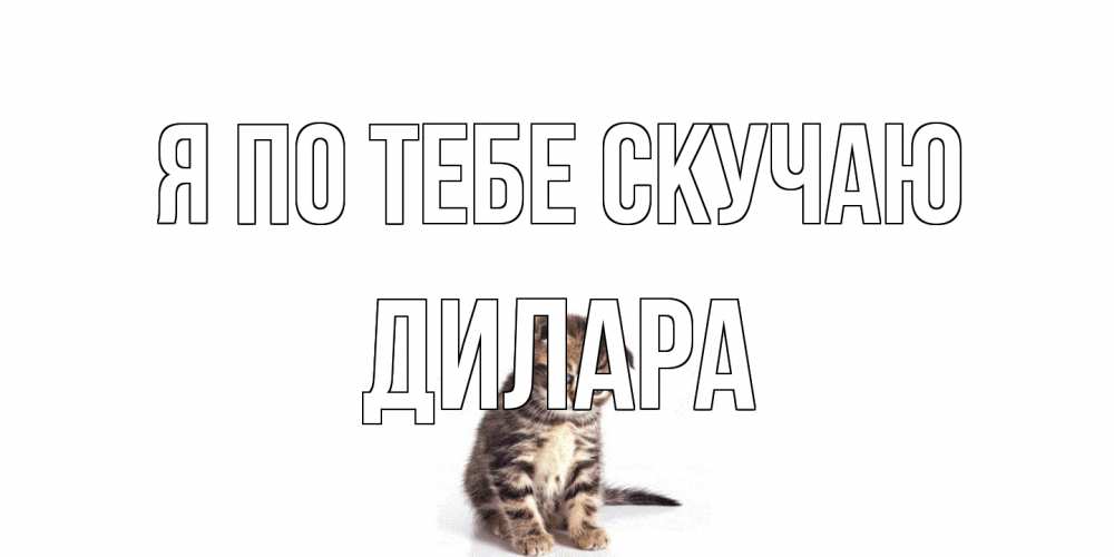 Открытка на каждый день с именем, Дилара Я по тебе скучаю кот Прикольная открытка с пожеланием онлайн скачать бесплатно 