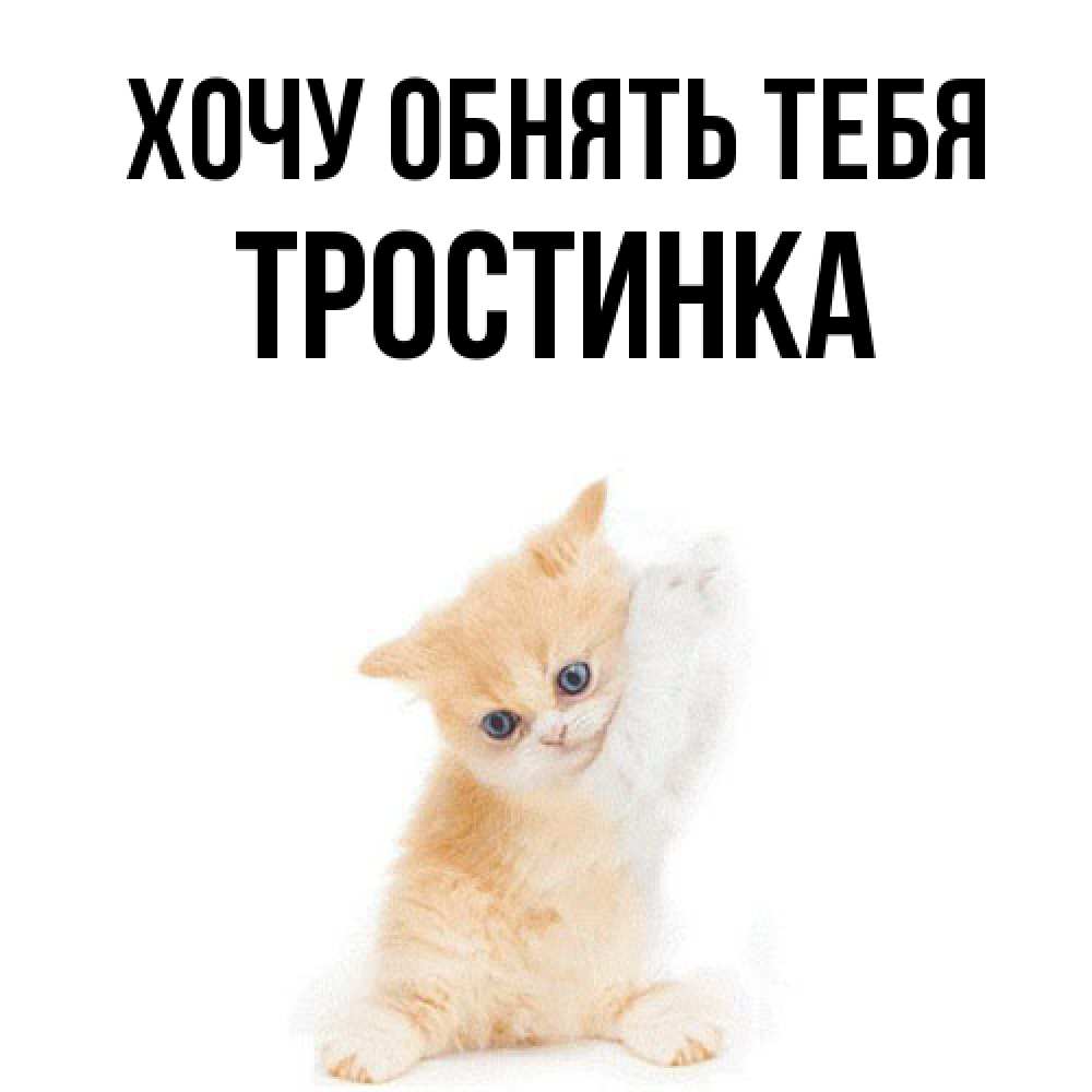 Открытка на каждый день с именем, Тpостинка Хочу обнять тебя я хочу очень скорее обнимаешек Прикольная открытка с пожеланием онлайн скачать бесплатно 