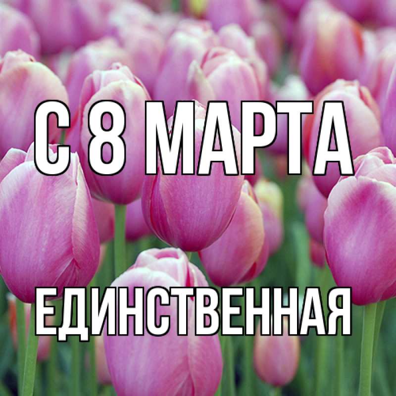 Картинка C 8 МАРТА, Единственная