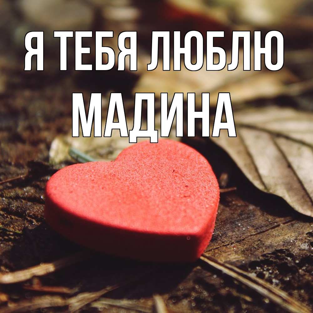 Открытка на каждый день с именем, Мадина Я тебя люблю листья деревье 4 Прикольная открытка с пожеланием онлайн скачать бесплатно 