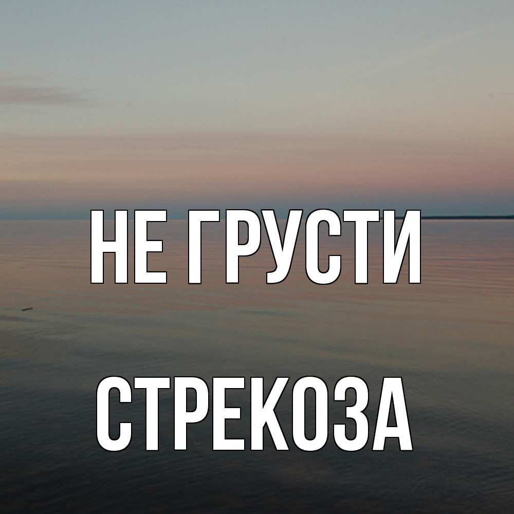 Открытка на каждый день с именем, Стрекоза Не грусти водная гладь Прикольная открытка с пожеланием онлайн скачать бесплатно 